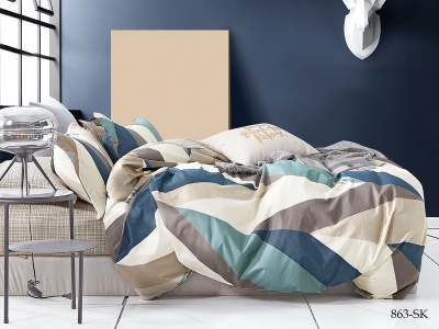 КПБ Cleo сатин набивной "Satin de Luxe" полуторный 150*210*1 160*230*1(±5) 70*70*2(±2) (15/863-SK, Геометрия, Мультиколор) КПБ Cleo сатин набивной "Satin de Luxe" полуторный 150*210*1 160*230*1(±5) 70*70*2(±2) (15/863-SK, Геометрия, Мультиколор)