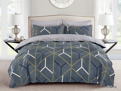 КПБ Cleo сатин набивной "Satin Lux" полуторный 145*215*1 150*220*1(±5) 70*70*2(±2) (CL15/735-SL, Геометрия, Мультиколор) КПБ Cleo сатин набивной "Satin Lux" полуторный 145*215*1 150*220*1(±5) 70*70*2(±2) (CL15/735-SL, Геометрия, Мультиколор)