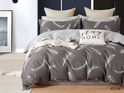 КПБ Cleo сатин набивной "Satin de Luxe" полуторный 150*210*1 160*230*1(±5) 70*70*2(±2) (15/853-SK, Оригинальное, Мультиколор) КПБ Cleo сатин набивной "Satin de Luxe" полуторный 150*210*1 160*230*1(±5) 70*70*2(±2) (15/853-SK, Оригинальное, Мультиколор)