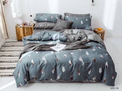 КПБ Cleo сатин набивной "Satin de Luxe" полуторный 150*210*1 160*230*1(±5) 70*70*2(±2) (15/1011-SK, Оригинальное, Мультиколор) КПБ Cleo сатин набивной "Satin de Luxe" полуторный 150*210*1 160*230*1(±5) 70*70*2(±2) (15/1011-SK, Оригинальное, Мультиколор)