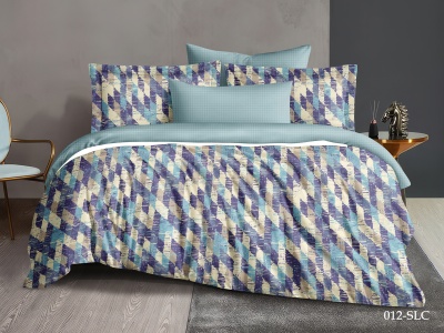 КПБ Cleo сатин набивной "Satin Lux" евро 200*220*1 220*240*1(±5) 50*70*2(±2) 70*70*2(±2) (31/012-SL, Абстракция, Мультиколор)