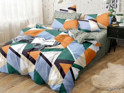 КПБ CL HOME Поплин "Pure Cotton" евро 200*220*1 220*240*1(±5) 50*70*2(±2) 70*70*2(±2) в ПВХ (31/301-PC/CL, Геометрия, Мультиколор) КПБ CL HOME Поплин "Pure Cotton" евро 200*220*1 220*240*1(±5) 50*70*2(±2) 70*70*2(±2) в ПВХ (31/301-PC/CL, Геометрия, Мультиколор)