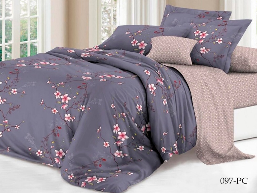 КПБ Cleo Поплин "Pure Cotton" 097-PC